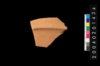 藏品(腹片)的圖片