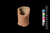 藏品(豆足)的圖片