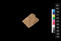 藏品(腹片)的圖片