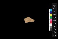 藏品(腹片)的圖片