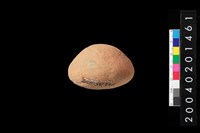 藏品(陶托)的圖片