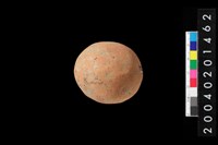 藏品(陶托)的圖片