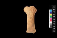 藏品(陶把)的圖片