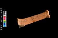 藏品(勺把)的圖片