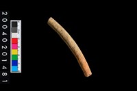 藏品(勺把)的圖片