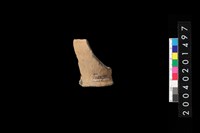 藏品(陶杯)的圖片