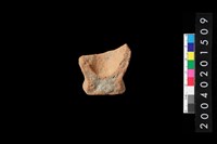 藏品(陶杯)的圖片