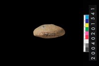 藏品(陶紡輪)的圖片