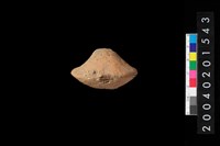 藏品(陶紡輪)的圖片