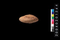 藏品(陶紡輪)的圖片