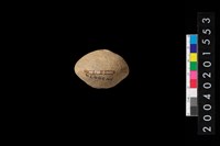 藏品(陶紡輪)的圖片