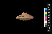 藏品(陶紡輪)的圖片