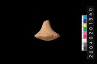 藏品(陶紡輪)的圖片