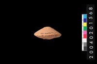 藏品(陶紡輪)的圖片