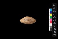 藏品(陶紡輪)的圖片