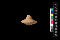 藏品(陶紡輪)的圖片