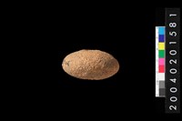 藏品(陶紡輪)的圖片