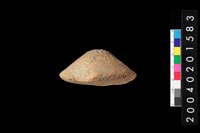 藏品(陶紡輪)的圖片