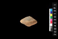 藏品(陶紡輪)的圖片