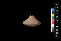 藏品(陶紡輪)的圖片