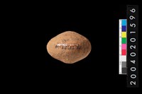 藏品(陶紡輪)的圖片