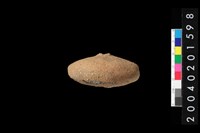 藏品(陶紡輪)的圖片