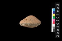 藏品(陶紡輪)的圖片