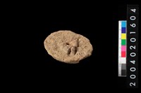 藏品(陶紡輪)的圖片