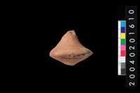 藏品(陶紡輪)的圖片