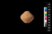 藏品(陶紡輪)的圖片