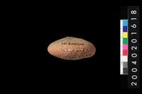 藏品(陶紡輪)的圖片