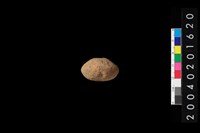 藏品(陶紡輪)的圖片