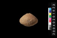 藏品(陶紡輪)的圖片