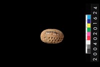 藏品(陶紡輪)的圖片