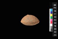 藏品(陶紡輪)的圖片