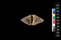 藏品(陶紡輪)的圖片