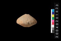 藏品(陶紡輪)的圖片