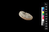 藏品(陶槌)的圖片