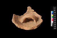 藏品(陶蓋)的圖片