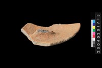 藏品(陶蓋)的圖片