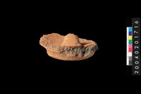 藏品(陶蓋)的圖片