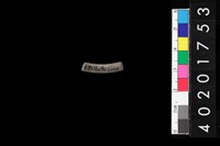 藏品(陶環)的圖片