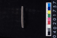 藏品(陶環)的圖片