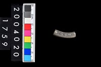 藏品(陶環)的圖片