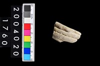 藏品(陶環)的圖片