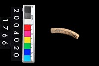 藏品(陶環)的圖片