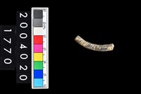 藏品(陶環)的圖片