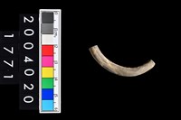 藏品(陶環)的圖片