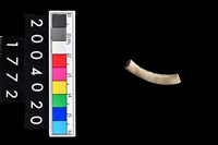 藏品(陶環)的圖片