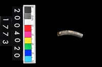 藏品(陶環)的圖片